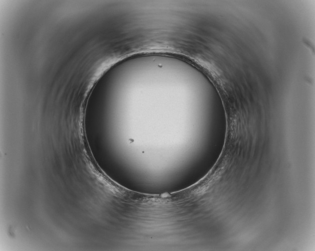 X0000098021374200804071343