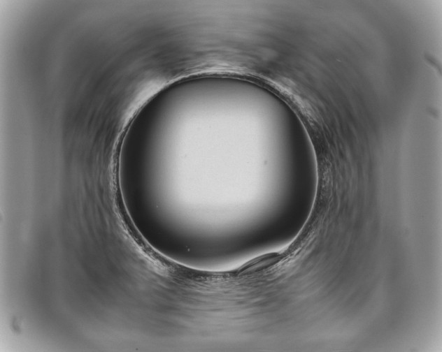 X0000098021375200804071343