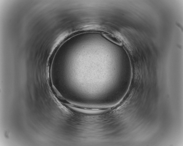 X0000098021376200804071343