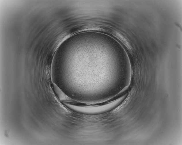 X0000098021377200804071342