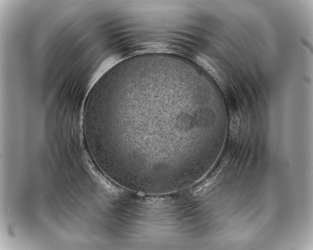 X0000098021378200804071342