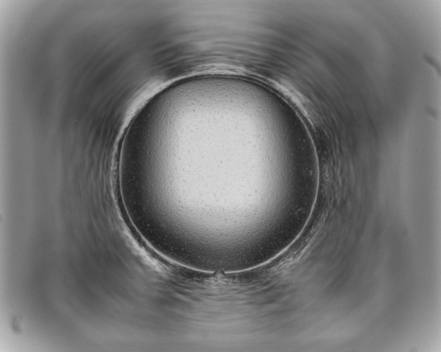 X0000098021379200804071342