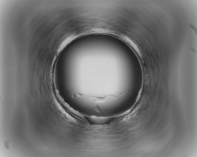 X0000098021381200804071342