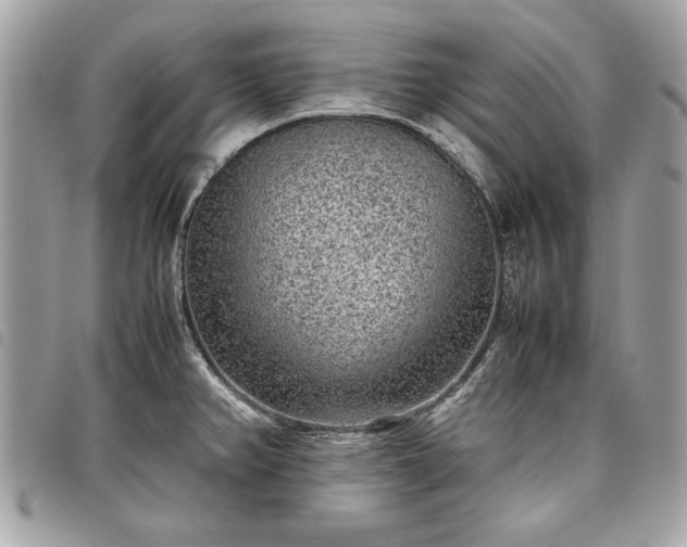 X0000098021382200804071342