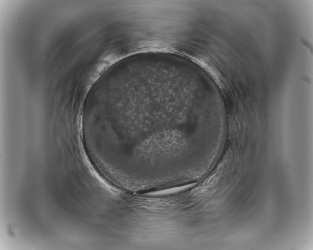 X0000098021383200804071342