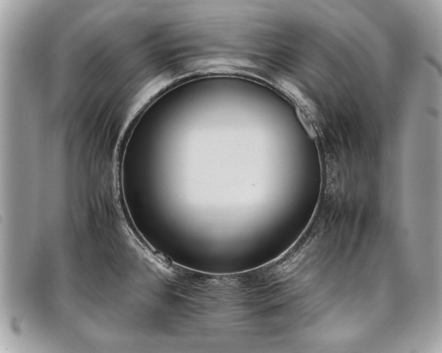 X0000098021384200804071342