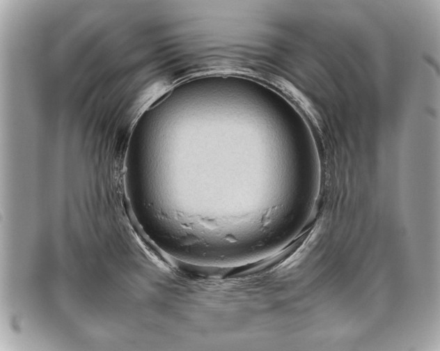 X0000098021385200804071342