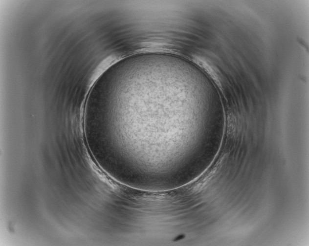 X0000098021386200804071342