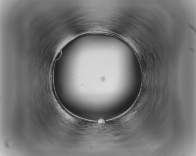 X0000098021387200804071342