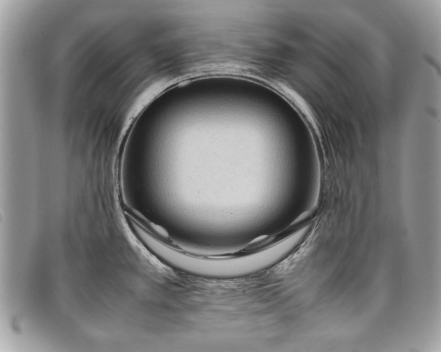 X0000098021389200804071342