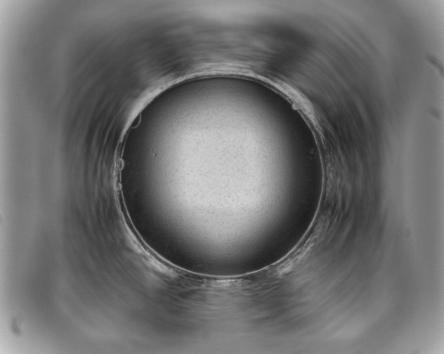 X0000098021390200804071342