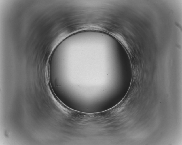 X0000098021391200804071342