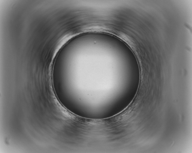 X0000098021392200804071342