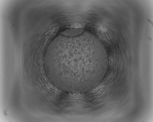 X0000098021393200804071341