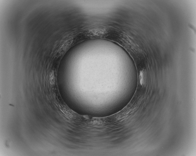 X0000098021395200804071341