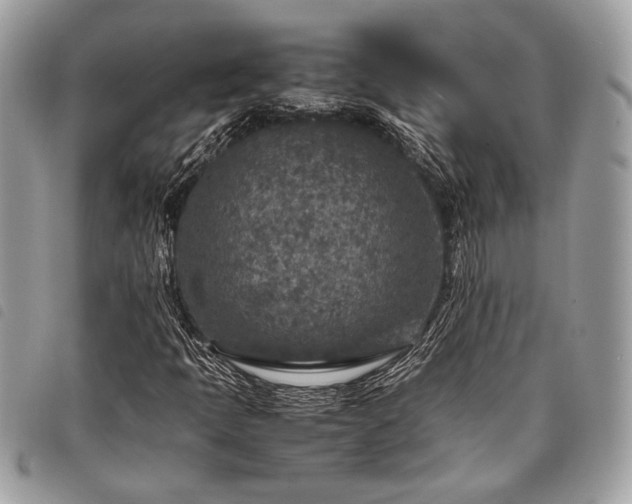 X0000098021397200804071342