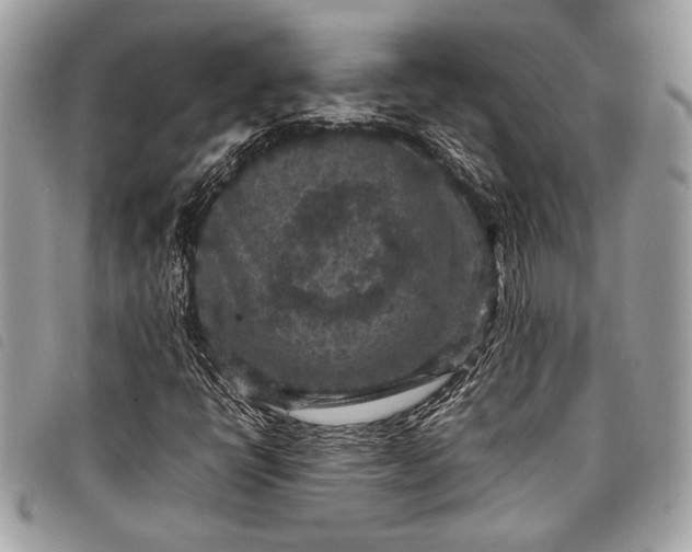 X0000098021398200804071342