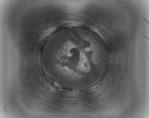 X0000098021399200804071342