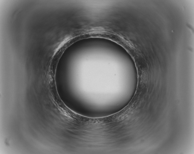 X0000098021400200804071342