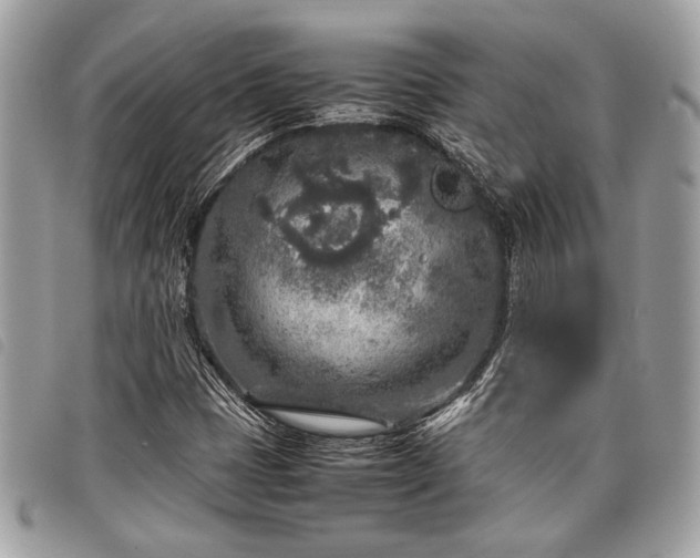 X0000098021401200804071342