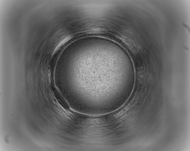 X0000098021402200804071342