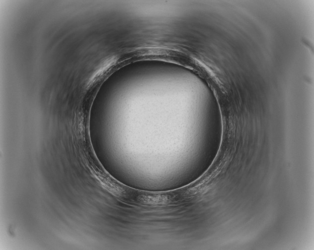 X0000098021403200804071342