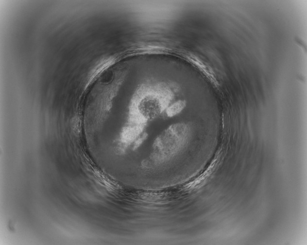 X0000098021405200804071342