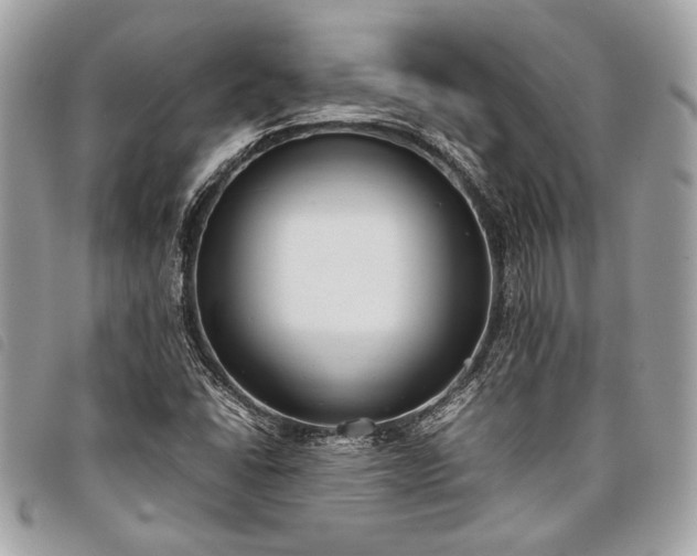 X0000098021406200804071342