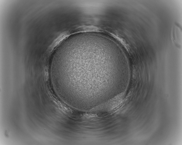 X0000098021407200804071342