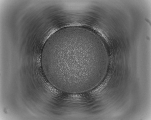 X0000098021409200804071342