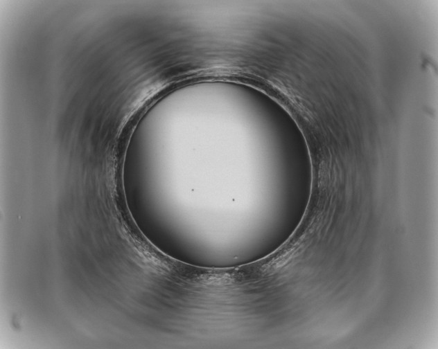 X0000098021410200804071342