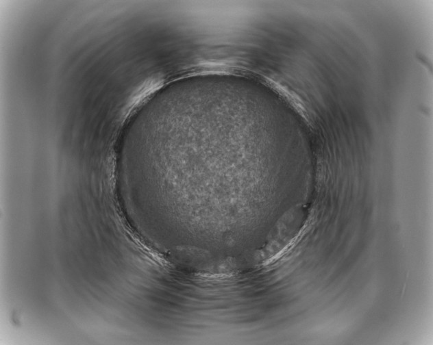 X0000098021411200804071342