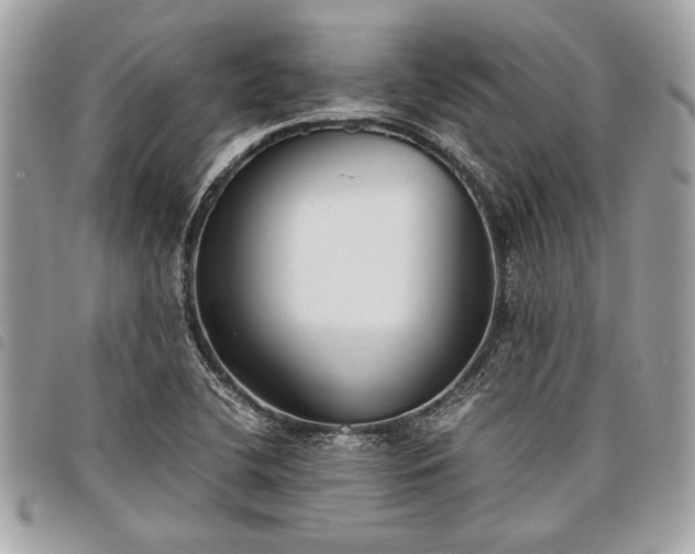 X0000098021412200804071342