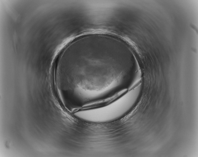 X0000098021414200804071342