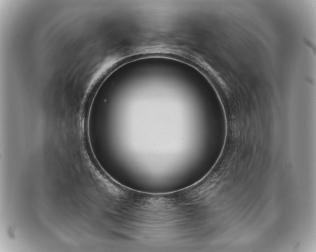 X0000098021416200804071342