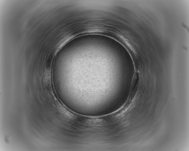 X0000098021417200804071342