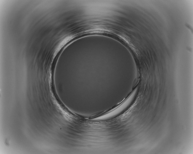 X0000098021418200804071342