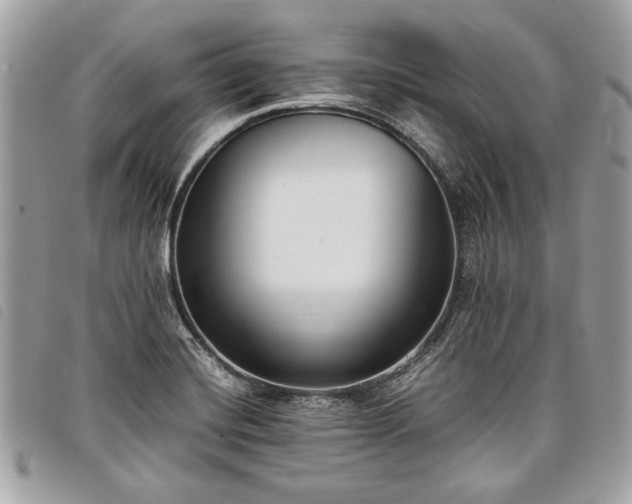 X0000098021420200804071342