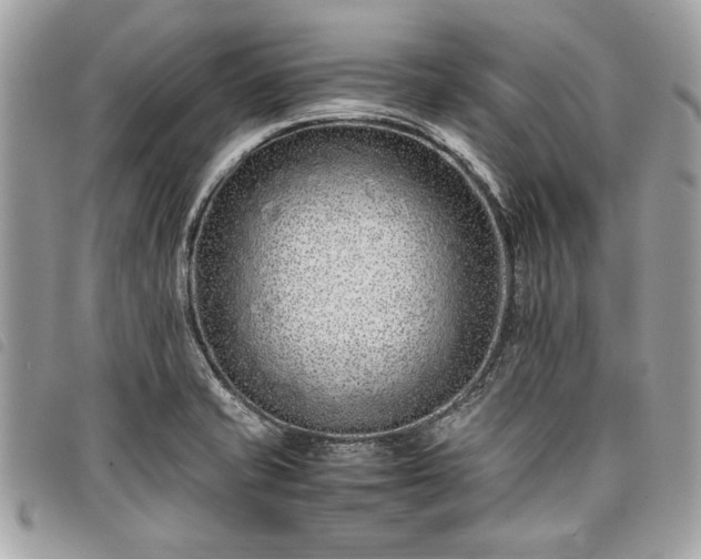 X0000098021421200804071342