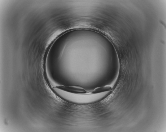 X0000098021422200804071342