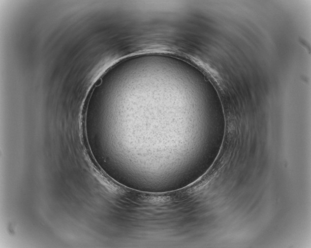 X0000098021423200804071342