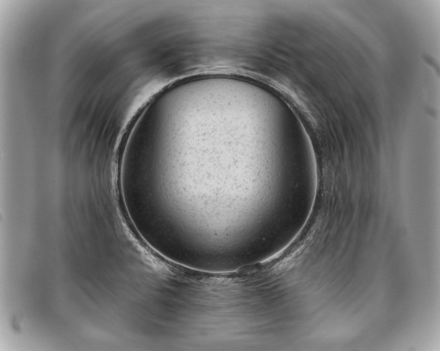 X0000098021424200804071342