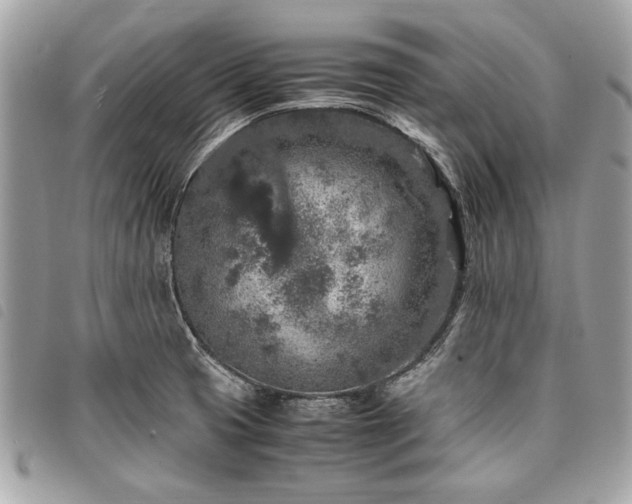 X0000098021425200804071342