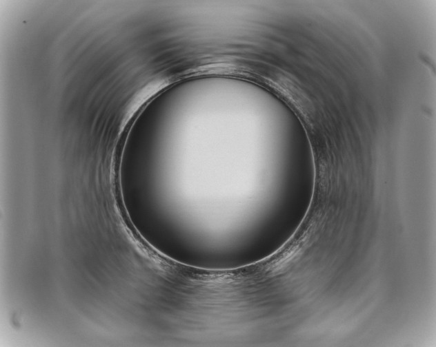 X0000098021426200804071342