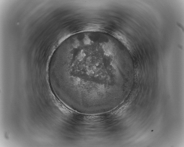 X0000098021427200804071342