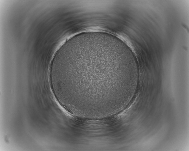 X0000098021429200804071342