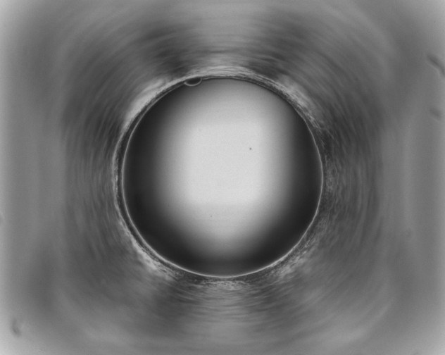 X0000098021430200804071342