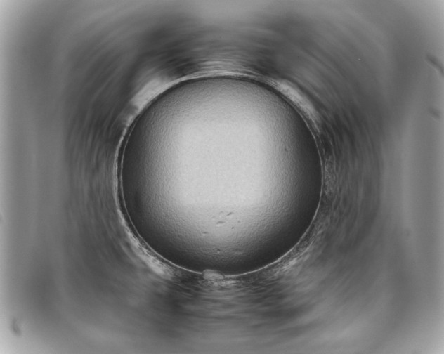 X0000098021431200804071342