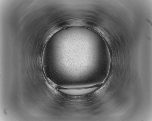 X0000098021433200804071342