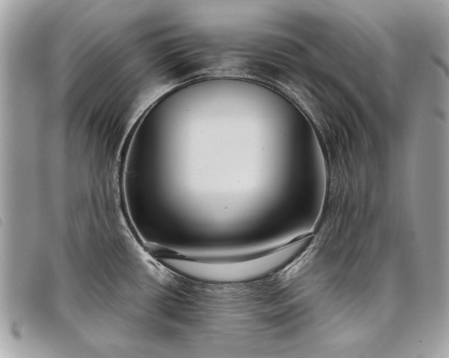 X0000098021434200804071342